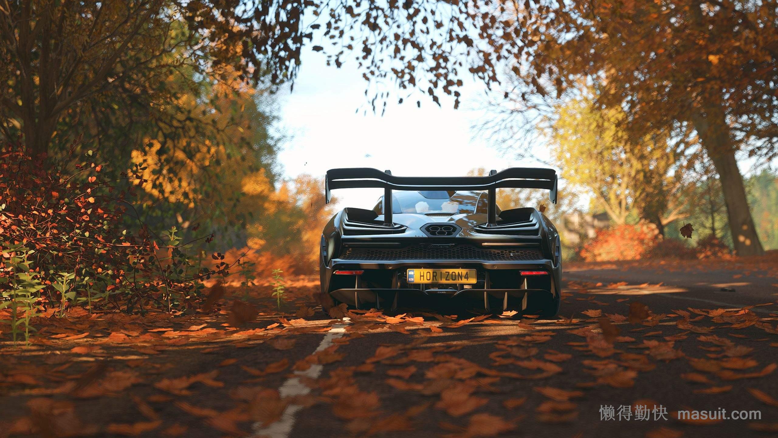 极限竞速—地平线4 forza horizon 4 v1.472.876 steam中文免安装版